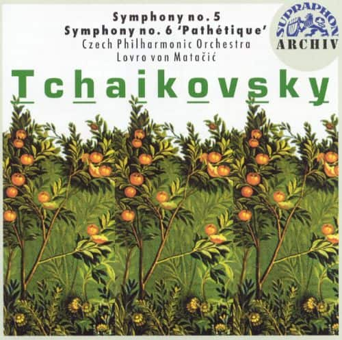 Best Buy Tchaikovsky Symphonies 5 6 CD