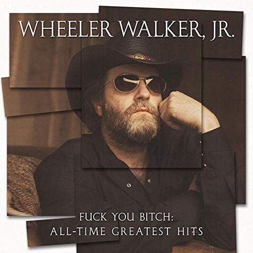 

Fuck You Bitch: All-Time Greatest Hits [LP] - VINYL