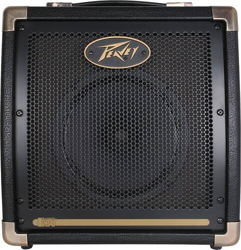 Best Buy Peavey Ecoustic E W Acoustic Amplifier