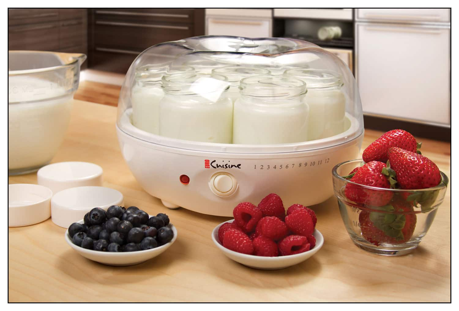 Best Buy Euro Cuisine Yogurt Maker White Ym