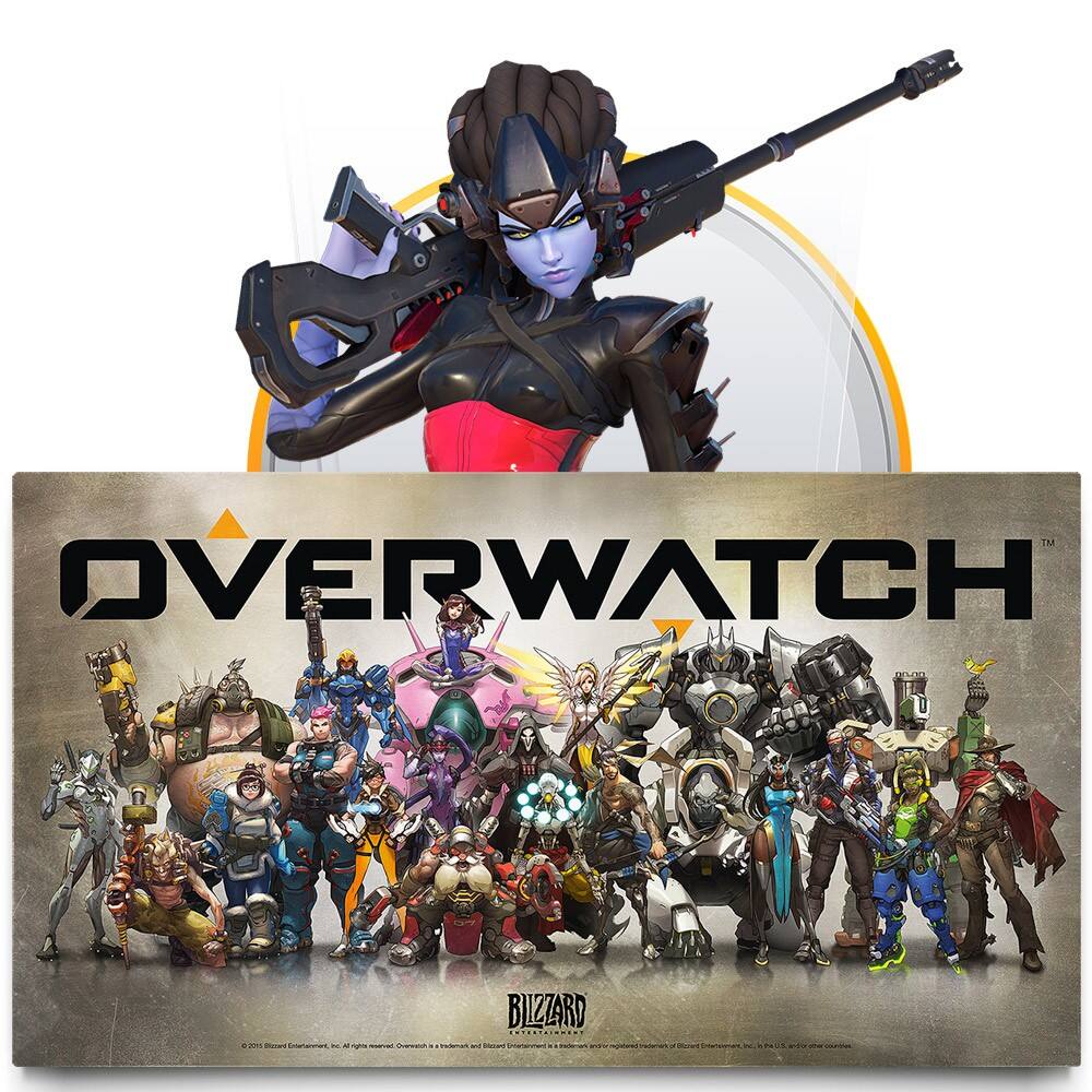 Overwatch video game