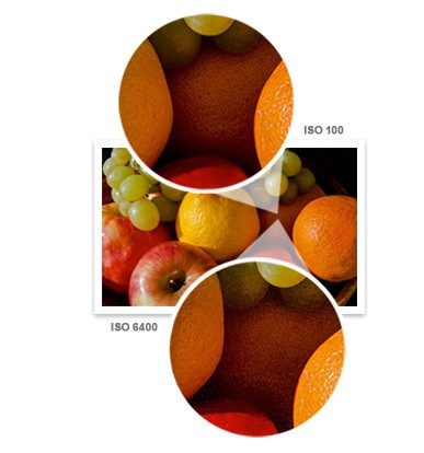 Close-ups of fruit at two ISOs