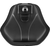 Alt_View_Standard_11