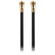 Front_Standard