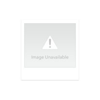 Car Navigational Device Car Navigational Device