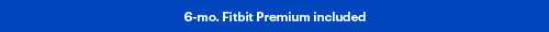 6moFitbitPremiumincluded