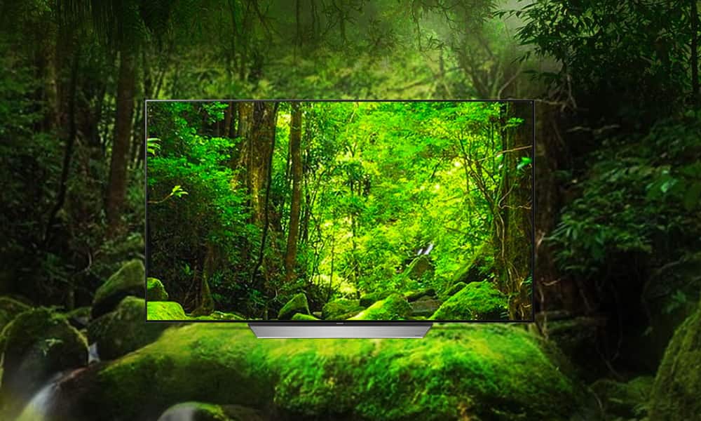 Forest, TV
