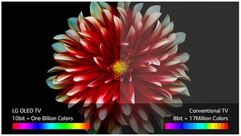 TV with flower, OLED, TV comparison