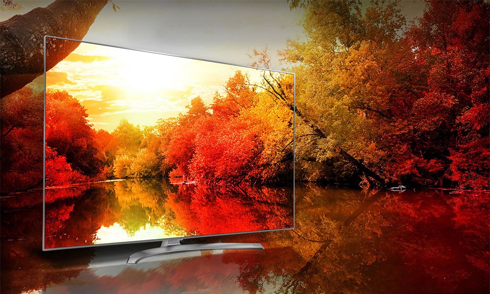 Fall foliage, TV