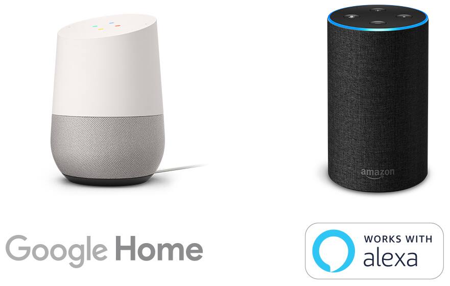 Google Home and Amazon Alexa devices