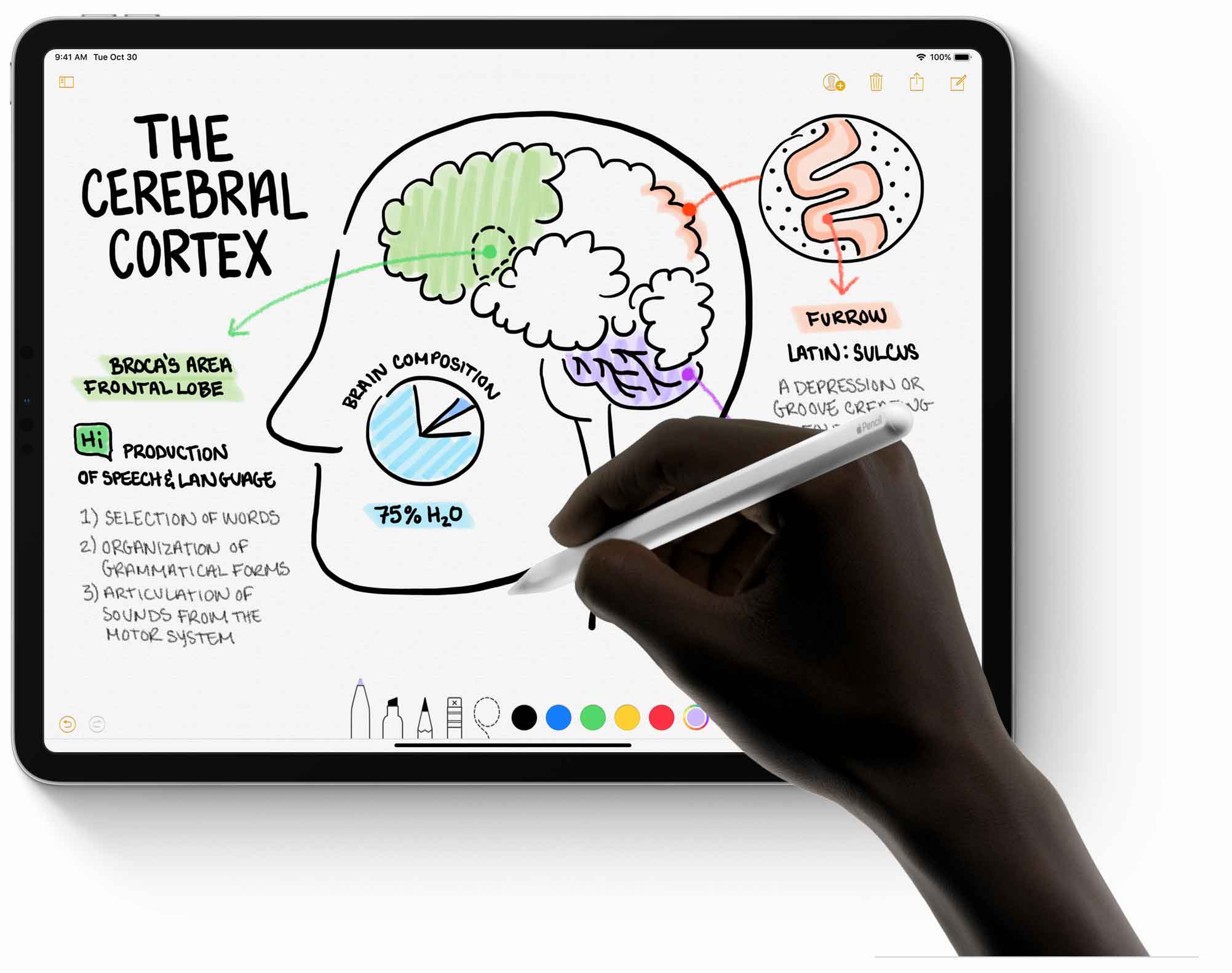 11inch & 12.9inch iPad Pro Best Buy