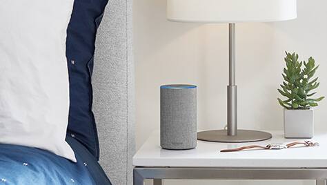 Voice Assistant