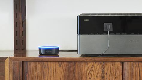 Voice-controlled speaker