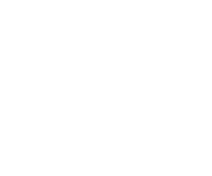 Home in hand icon