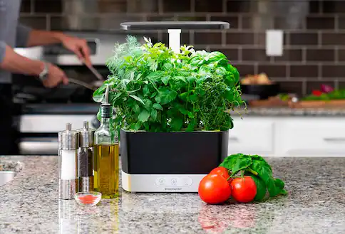 Sustainable alternatives