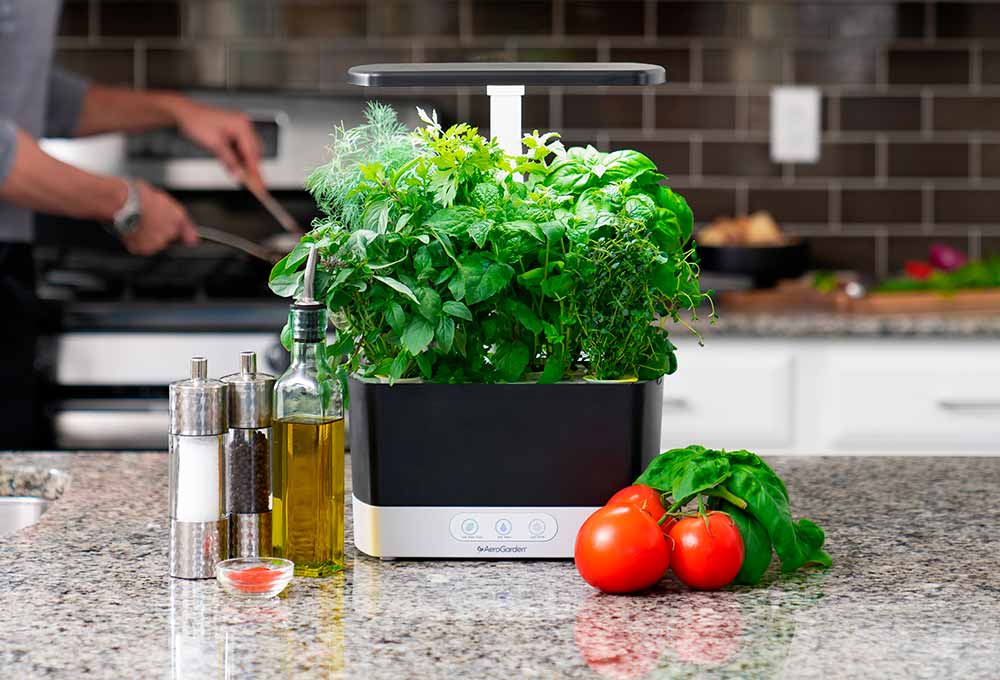 Sustainable alternatives