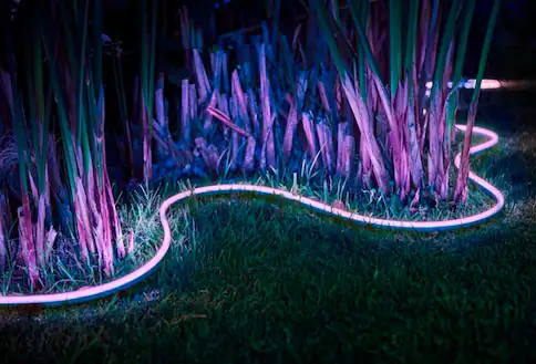 smart lighting