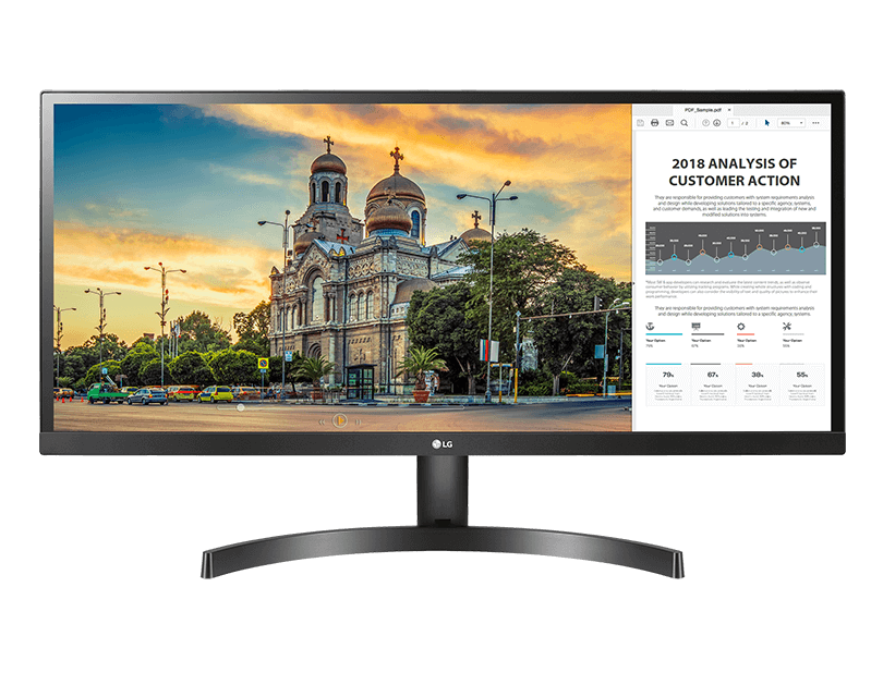 Monitor