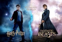 Wizarding World: Harry Potter and Fantastic Beasts