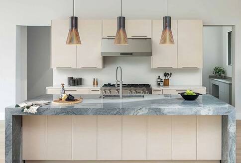 Dacor luxury range and range hood