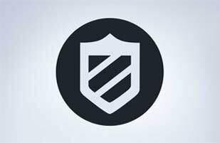 Shield icon