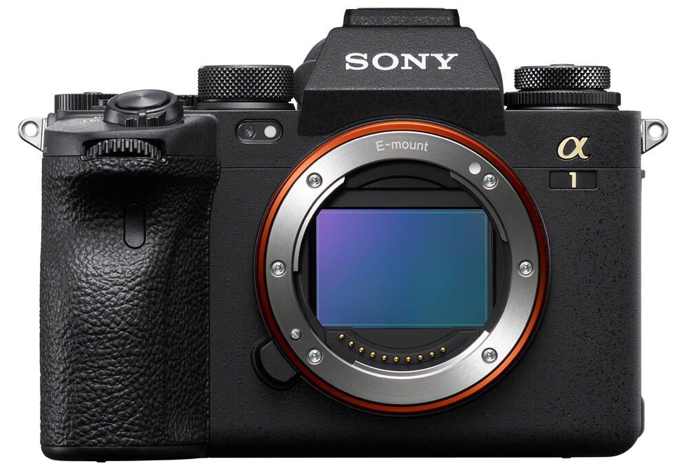 Mirrorless vs. DSLR Cameras: What to Know