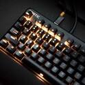 thumb-SOL-28274-Fnatic