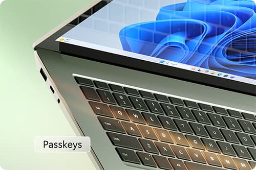Laptop, Passkeys