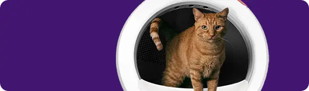 Litter box