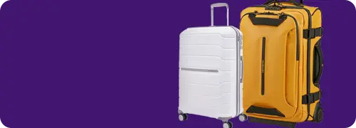 Luggage