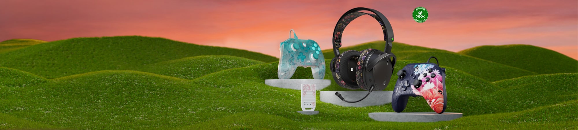 Controllers, headset and storage card