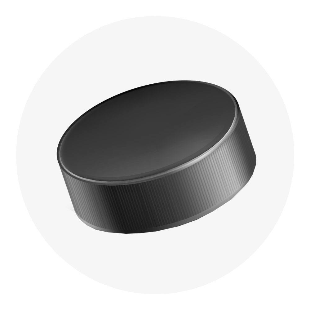 Hockey puck