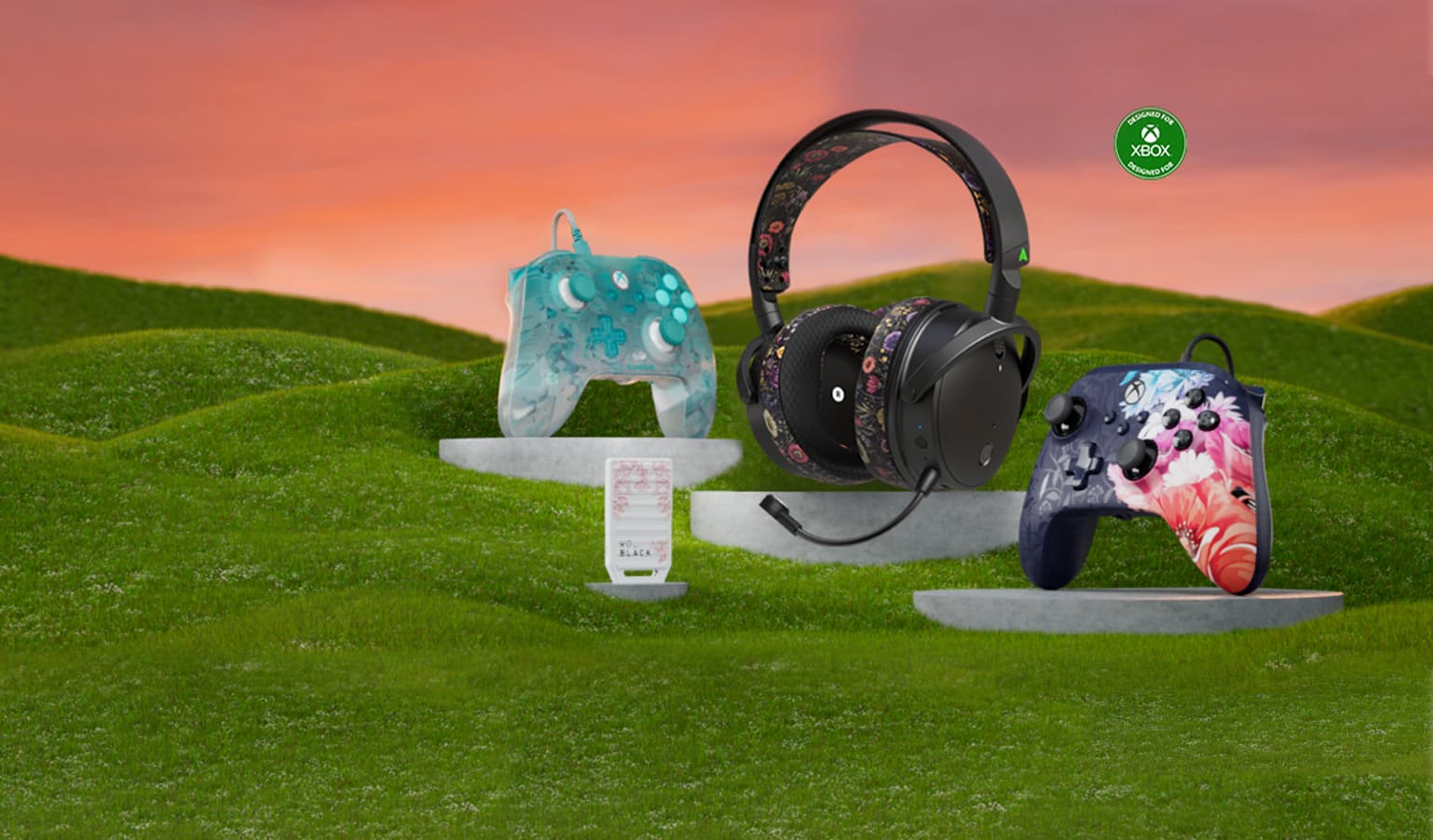 Gaming controllers, headset and SSD card