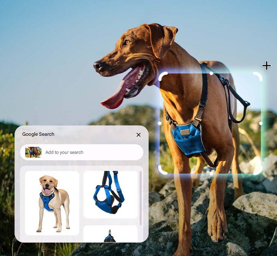 On a photo of a dog outdoors, a box has been drawn around the dog’s harness to select it. A pop-up shows Google search results for the harness, with a text field so you can add to your search.