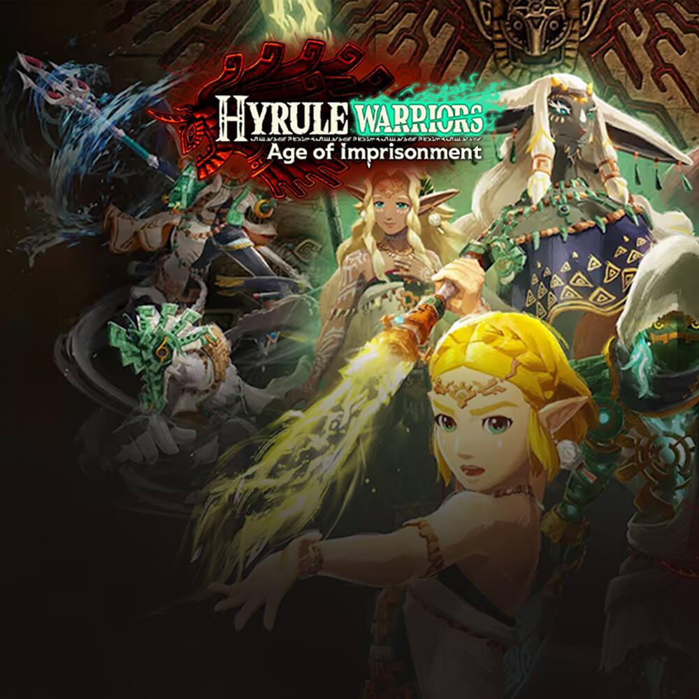 Hyrule Warriors: Age of Imprisonment video game