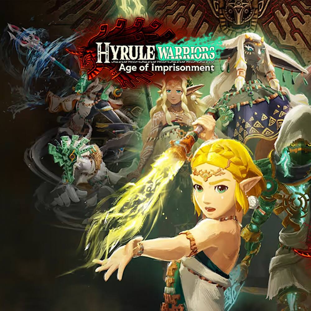 Hyrule Warriors: Age of Imprisonment video game