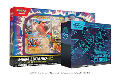 ©2025 Pokémon / Nintendo / Creatures / GAME FREAK.