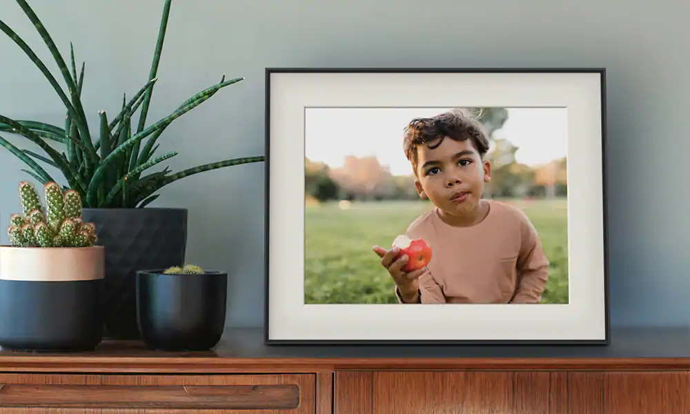 In-Camera Image Stabilization and 20% Off or More Camera, Camcorder ...