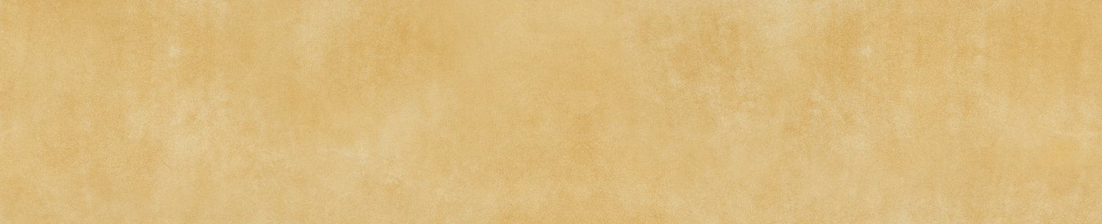 Missing image