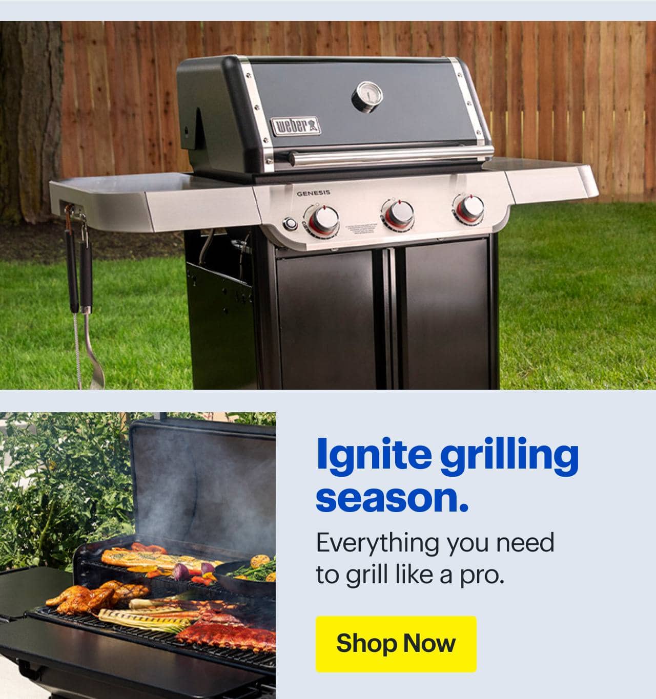 Headline: Ignite grilling season.  Grill. Food on grill. 