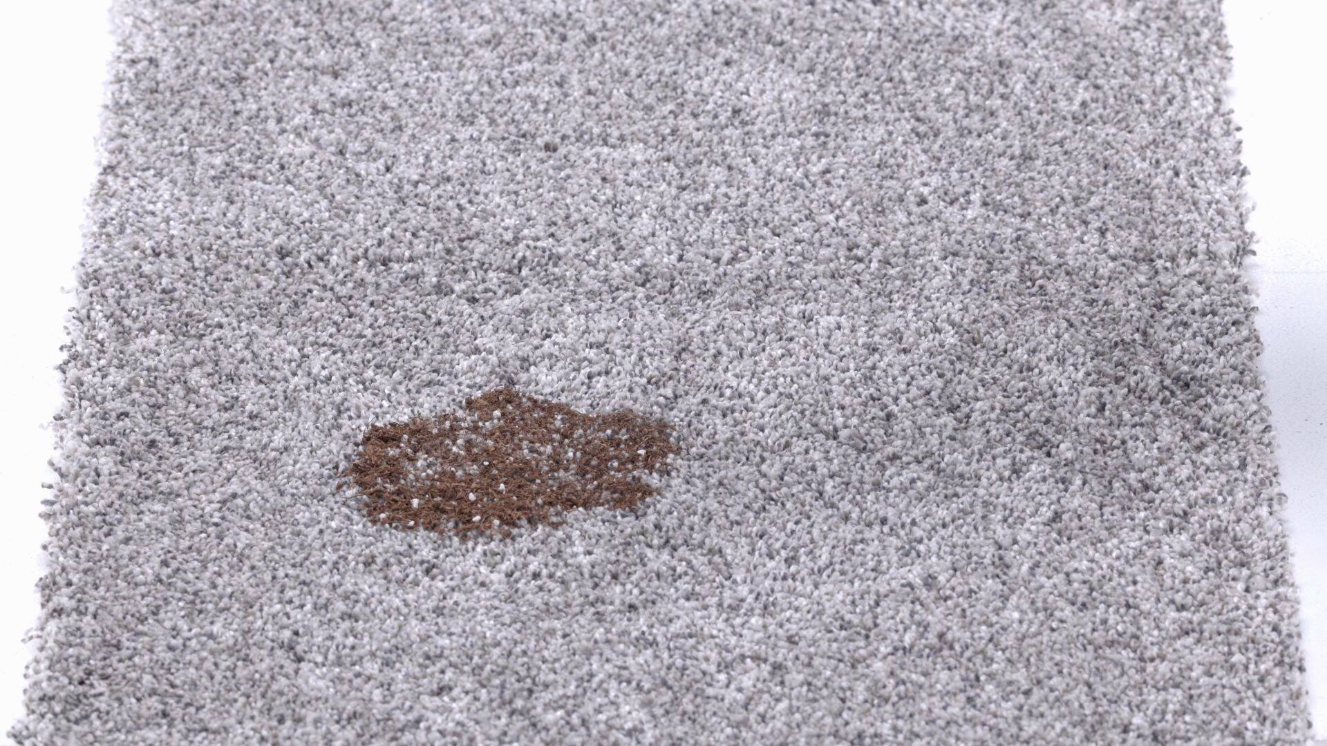 EkoGallery thumbnail