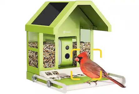 Smart bird feeder
