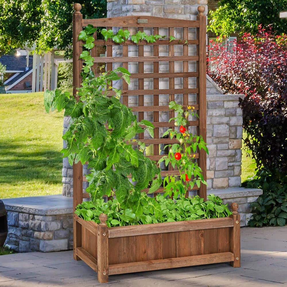 Trellis