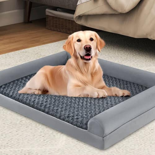 Pet supplies and technology