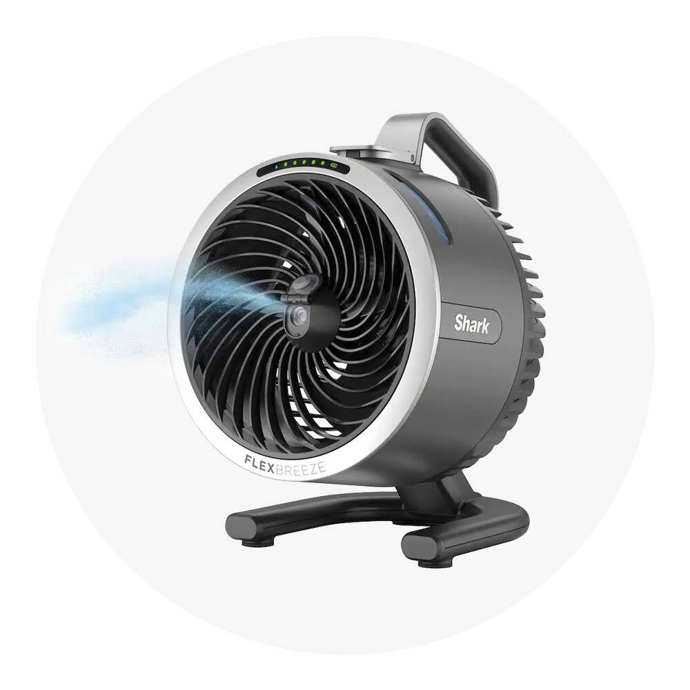Personal misting fan