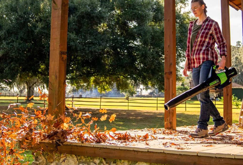 Leaf blower
