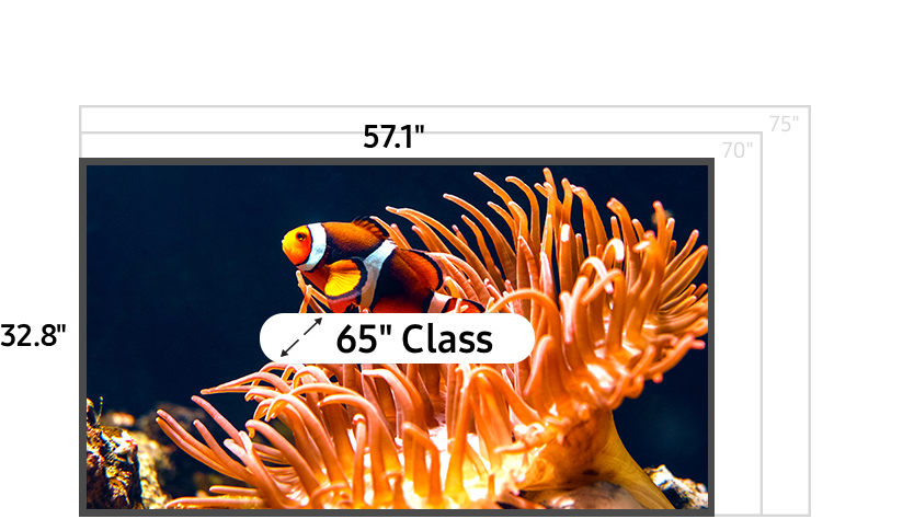 65 inch class TV measuring 32.7 inches high and 57.1 inches wide