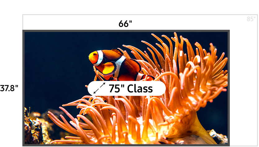 75 inch class TV measuring 37.8 inches high and 66 inches wide