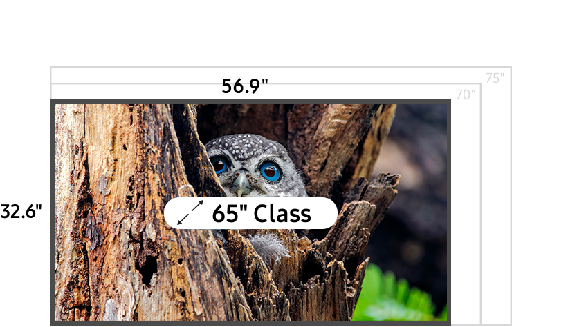65 inch class TV measuring 32.6 inches high and 56.9 inches wide