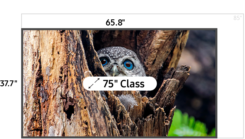 75 inch class TV measuring 37.7 inches high and 65.8 inches wide